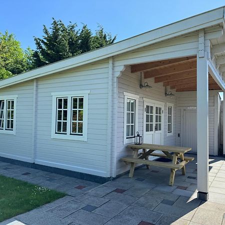 Apartament De Waterlelie Renesse Zewnętrze zdjęcie