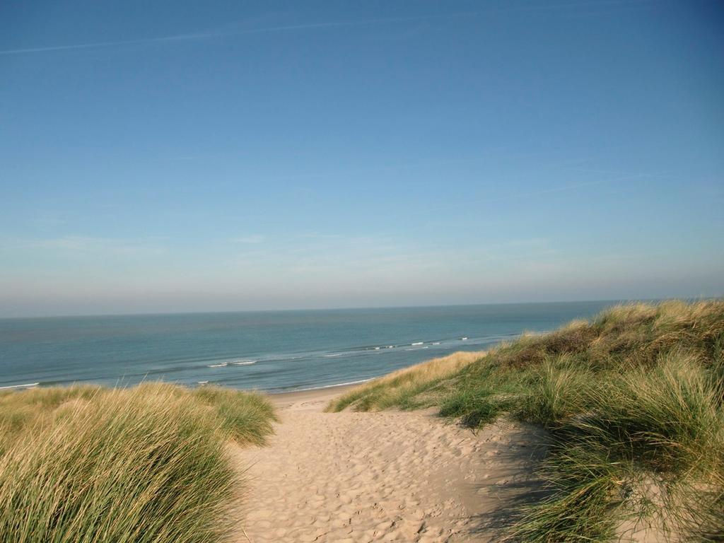 Apartament De Waterlelie Renesse Zewnętrze zdjęcie